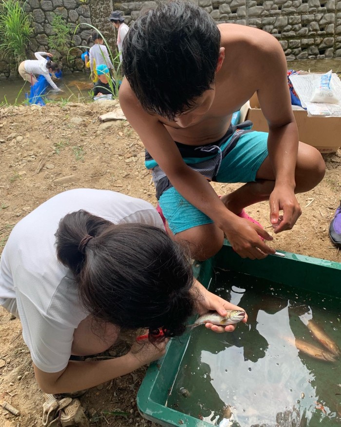 初めて魚を捌く女の子
