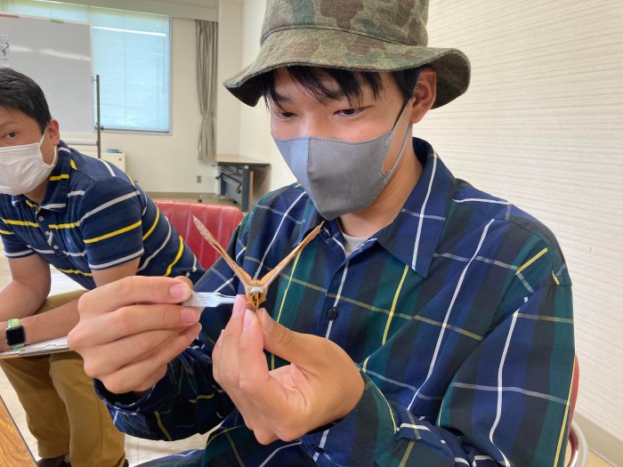 ガ類の標本づくり