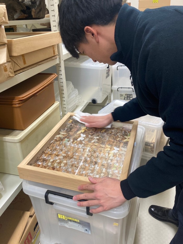 ドイツ箱のお手入れ