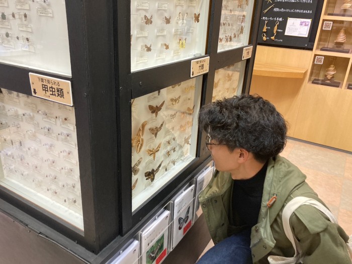 標本展示