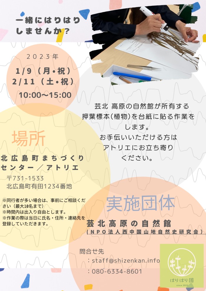 はりはり団の活動スタート!