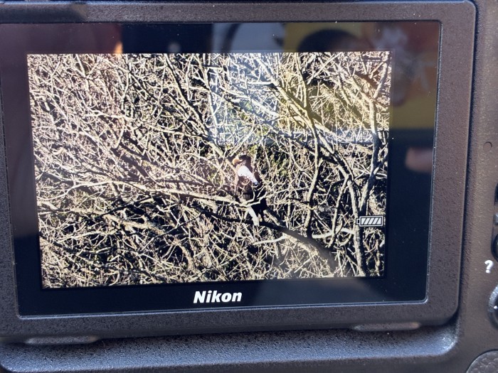 たくさんの方が撮影にお越しです