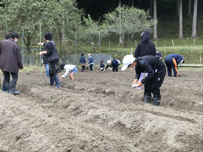 耕作放棄地に種まき!!