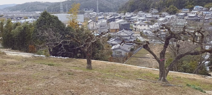 作業後①