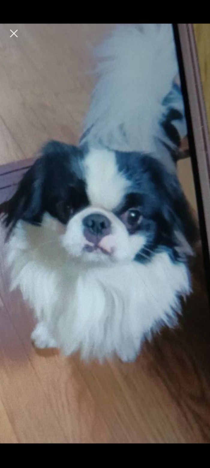 お客様からお預かりした、大切な一枚