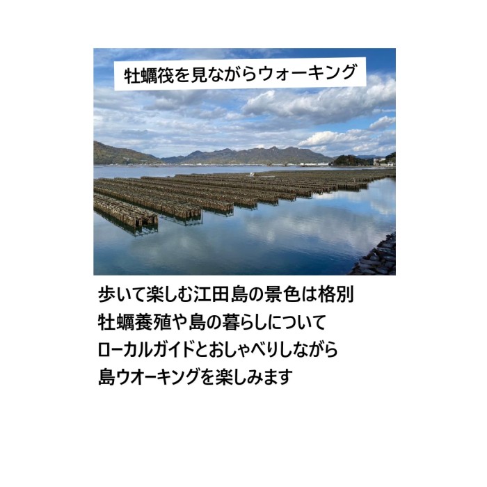 景色を見ながらのんびり島さんぽ