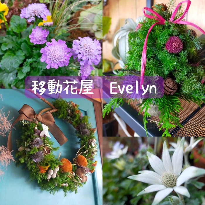 植物やリース