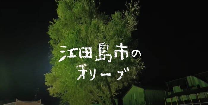 江田島市のオリーブ（オリーブ園紹介動画）