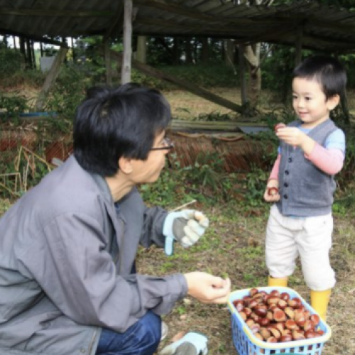 サムネイル画像（篠崎初光）