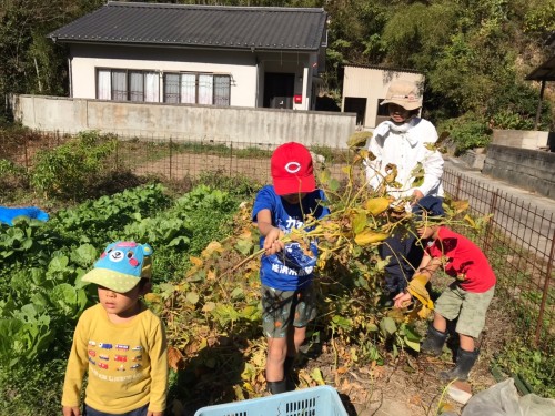 サムネイル画像（仲野幸枝）